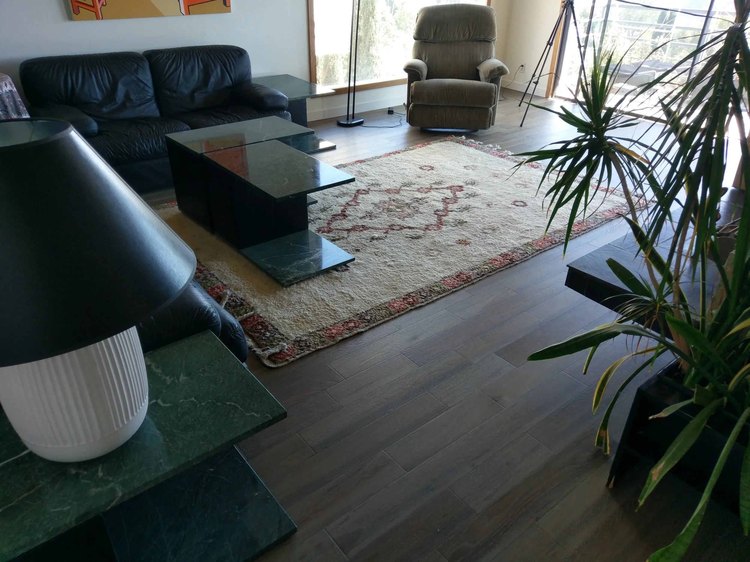 IMAG0993.jpg