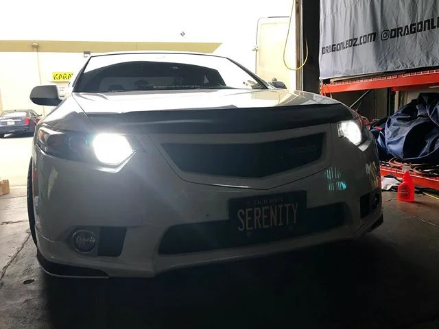 Acura TSX - NeoPhyte Series - DRL