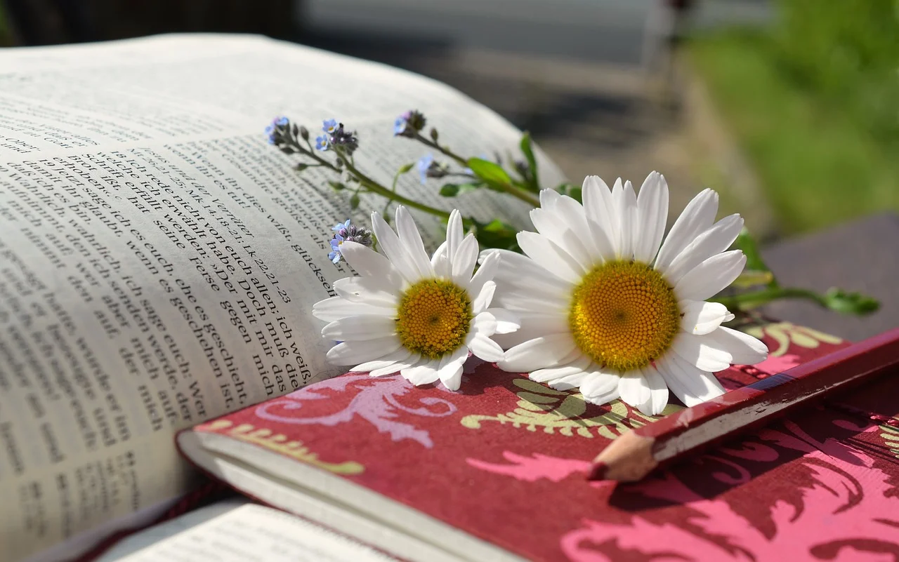 Renewing Our Minds to Renew Our Bodies