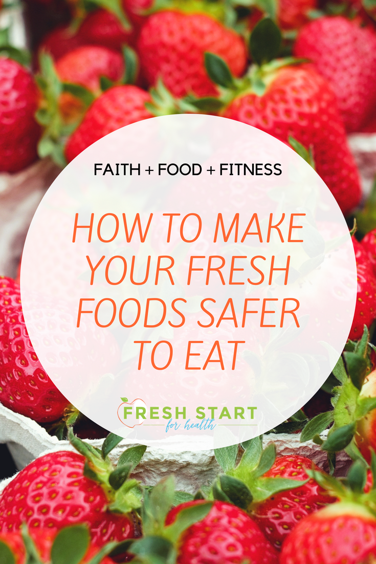 FreshStartFreshFoodSafer.png