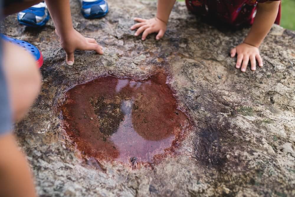 pha water in rock (1).jpg
