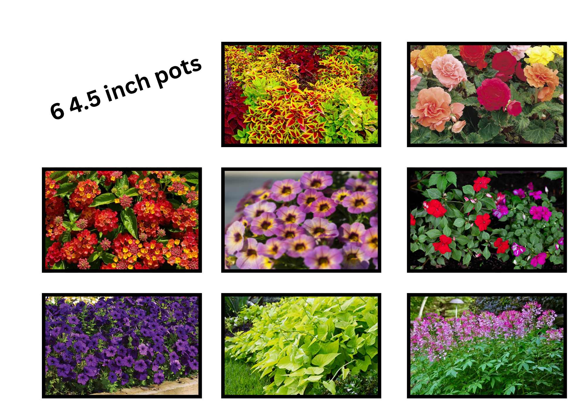 Untitled (7 x 5 in) (2).png