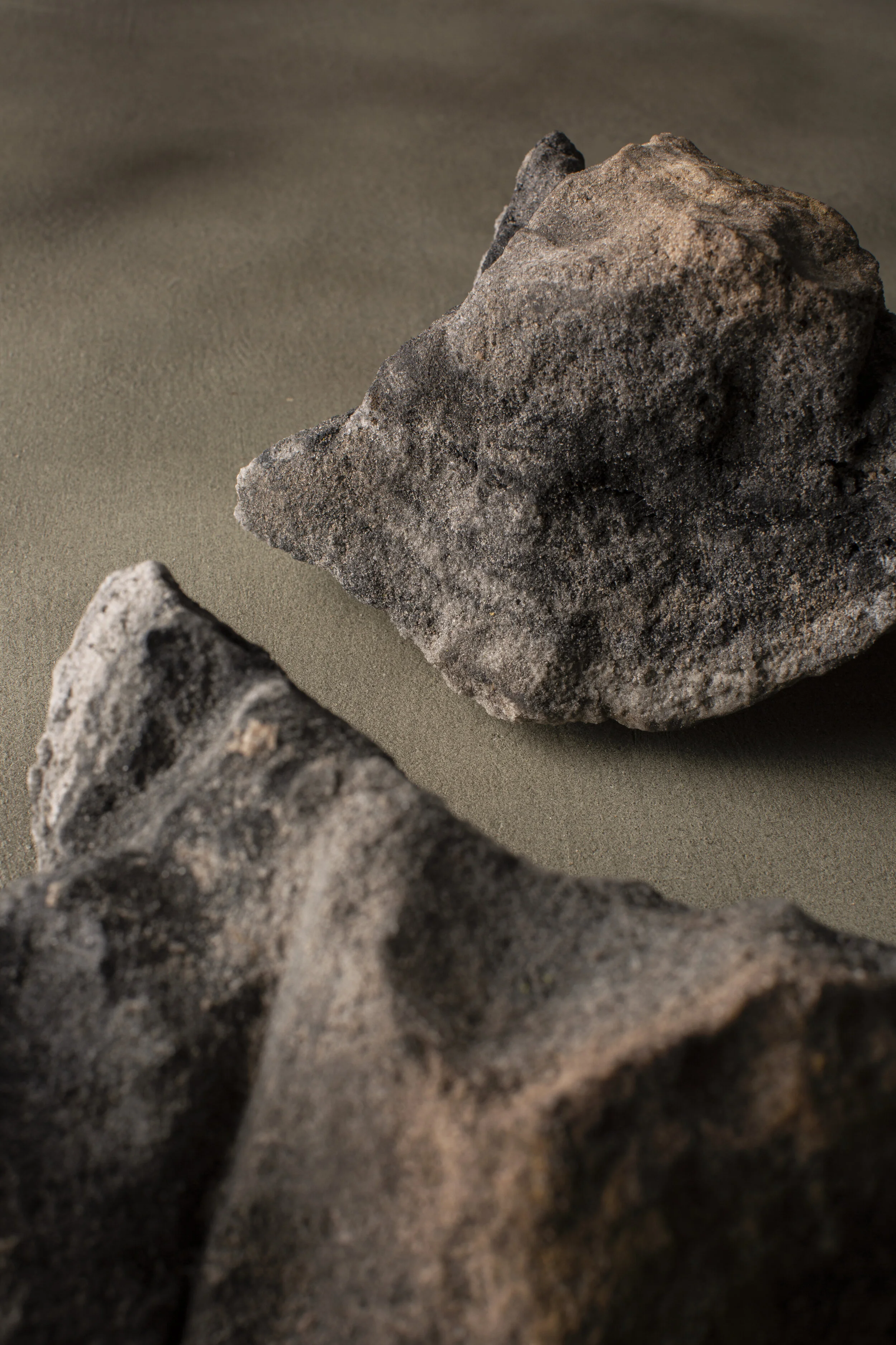 Sal de la tierra parte 1/2