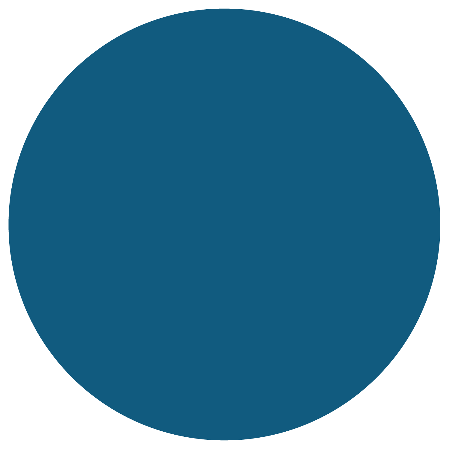 PSFS Circle Blue.png