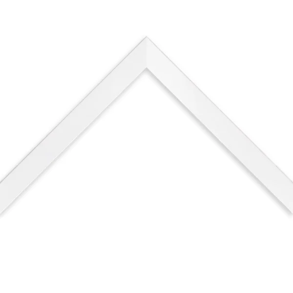 83960.jpg