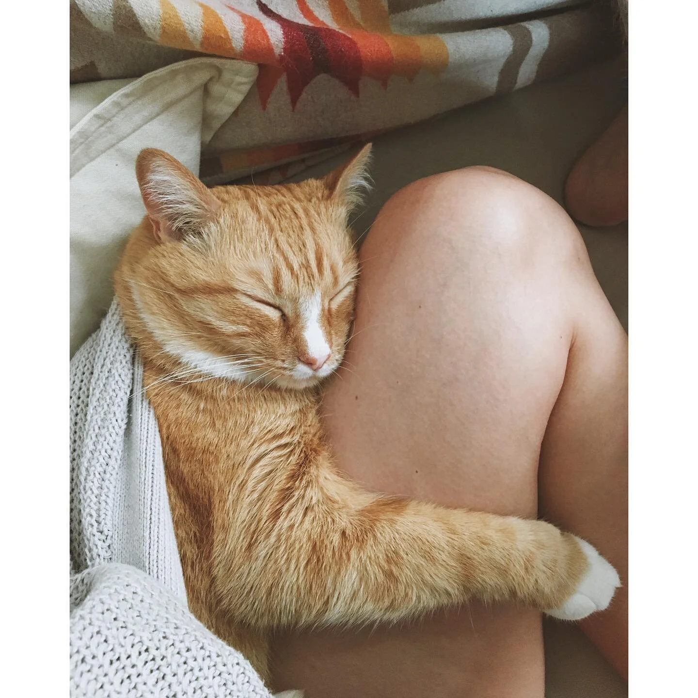 We lost an important member of the family yesterday - our sweet boy, Marley. He was 12, adopted with his brother and litter mate, Max, in January of 2009, a short while after we moved to Chicago. His death for me is profound and I am overwhelmed with