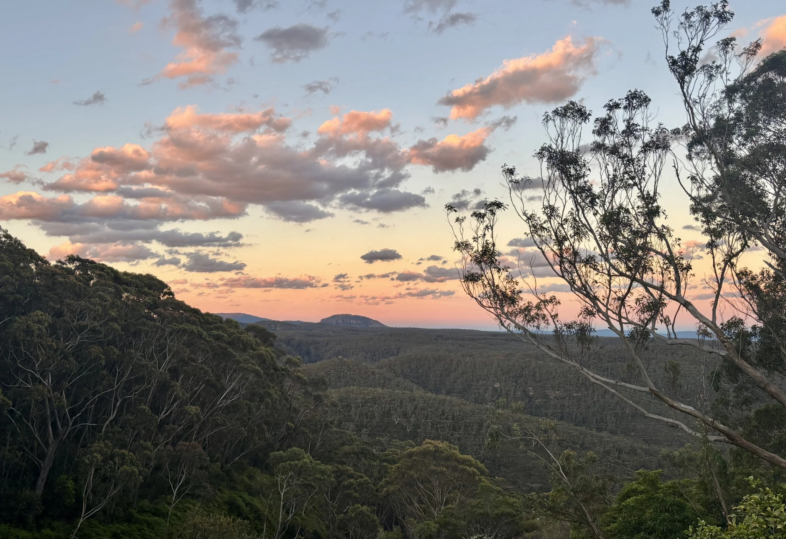 100clicksWest Festival Pass, 2.30-10.30pm: $150 + booking fee