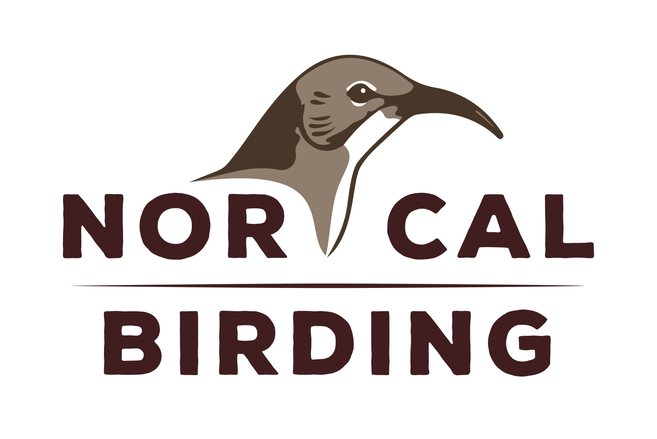 Norcal Birding