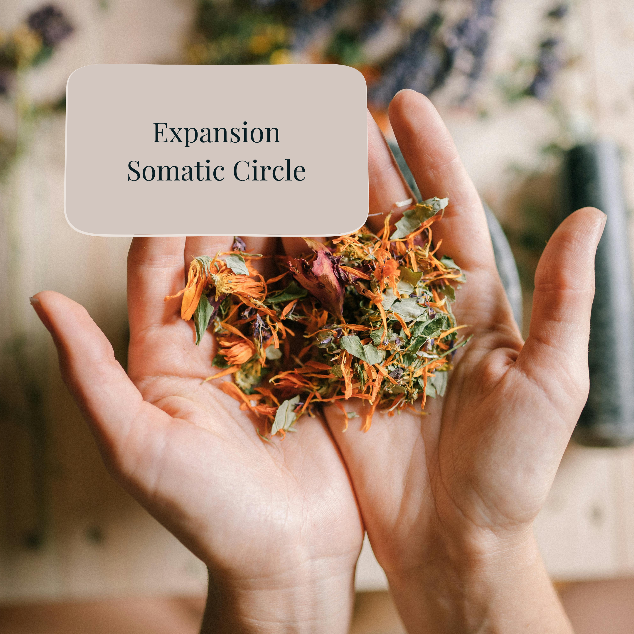 Expansion Somatic Healing Circle 
