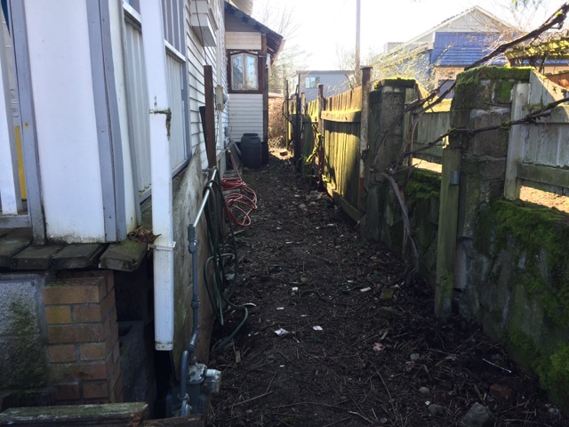 The side of the house and back of the house has been mostly cleaned up. The vines you see along this wall are grape vines. There are 4 established vines that we hope to save but they had to be cut way back to allow for re-building the fence that they are growing on.