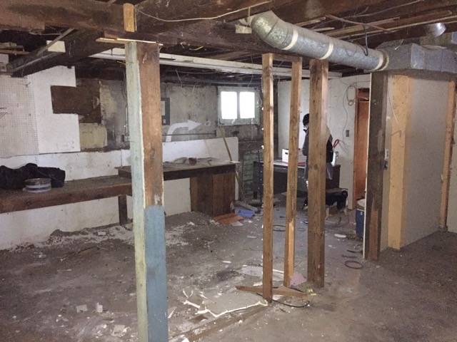 There is enough room in the basement for a bedroom, full bathroom, office and TV room. There is a back door in the basement that goes into a crawl space that Jenny is afraid of. I've heard rats scurrying when I open the door so maybe that why.