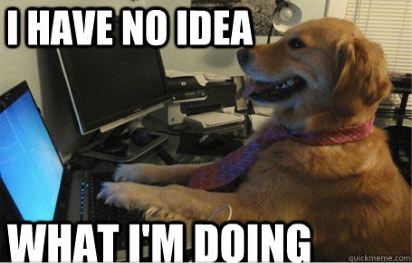 meme-i-have-no-idea-what-i-am-doing.png