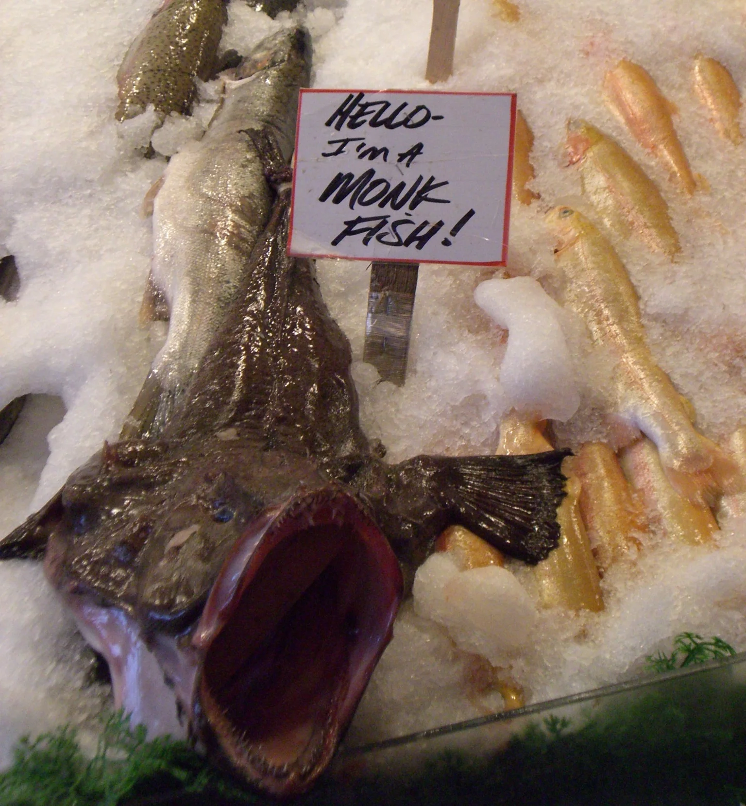 Pike_Place_Fish_The_Famous_Monkfish_6.jpg