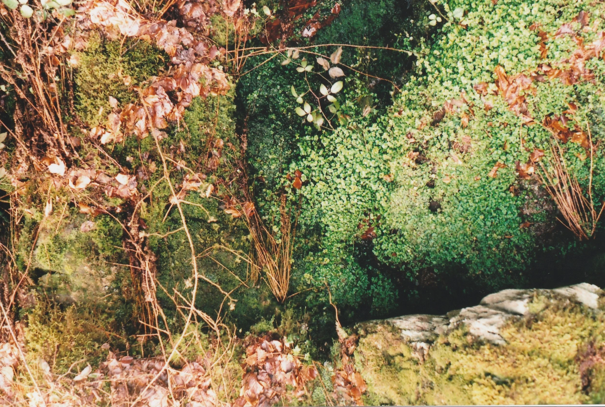 Pistyll Rhaeadr, Powys, Wales