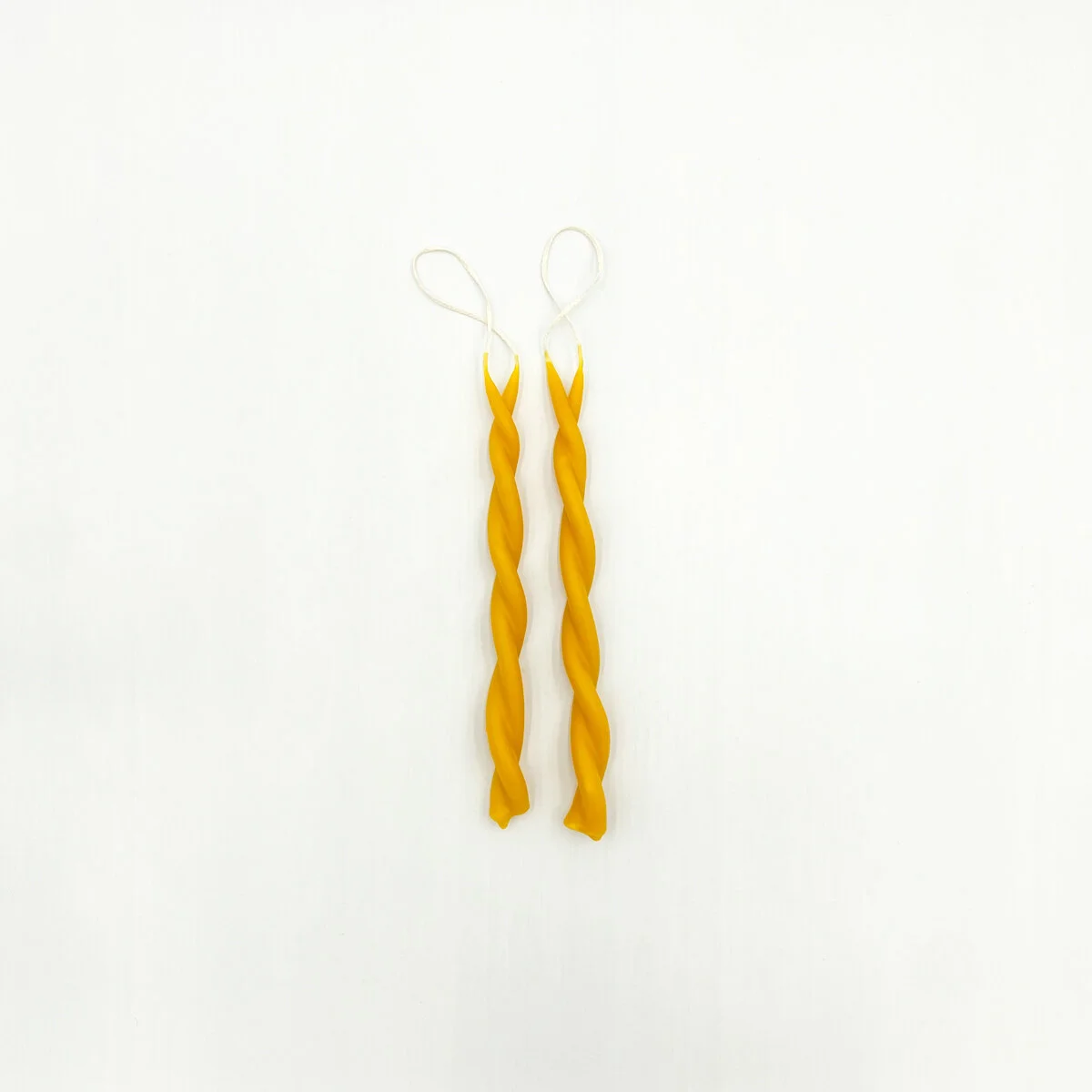 1295D861-CB04-4054-B8AE-E7C27F33F6CB