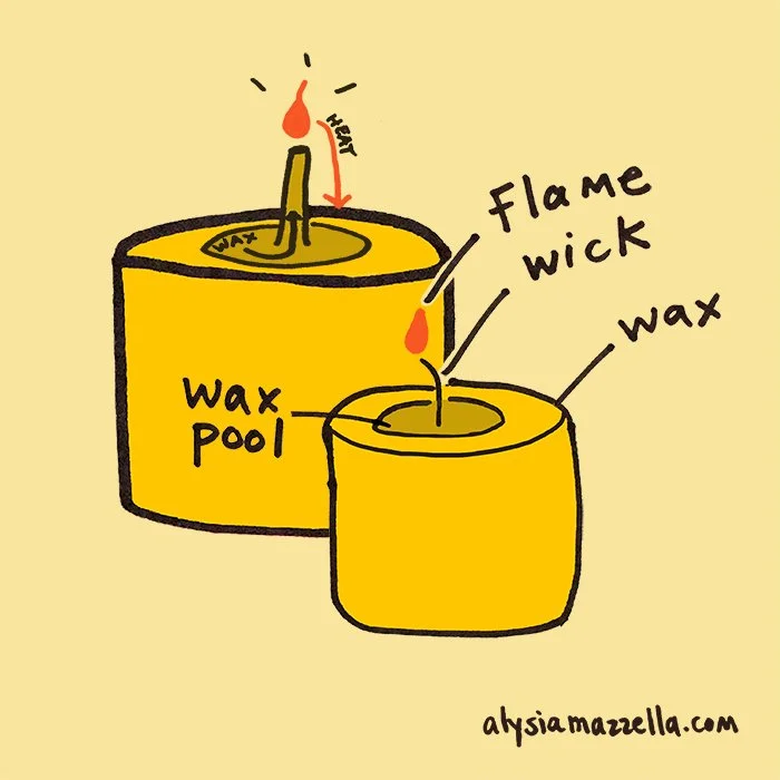 Care — Beeswax Candles by Alysia Mazzella