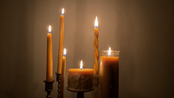 alysia-mazzella-beeswax-candle-collection.gif