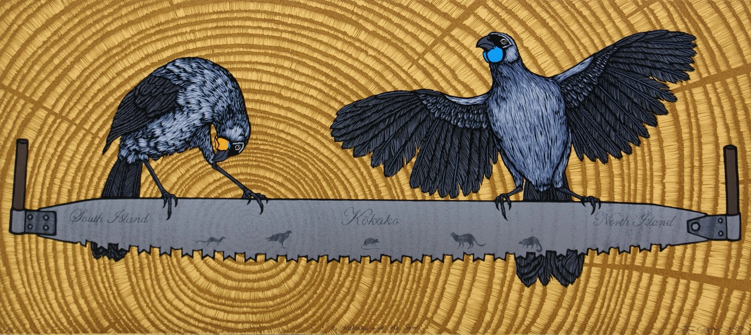 The Kokako and the Saw