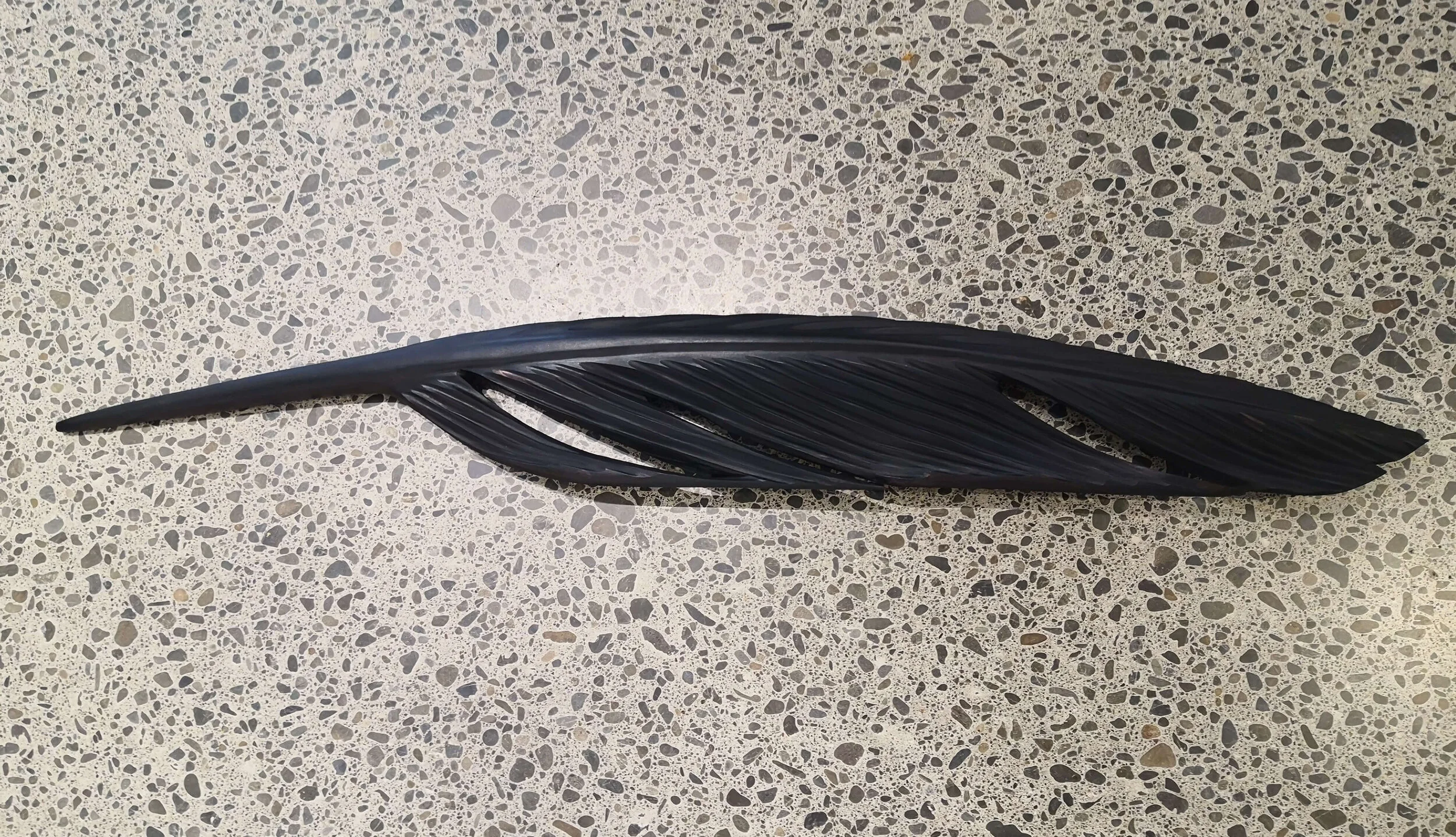 Tui Feather, 2019