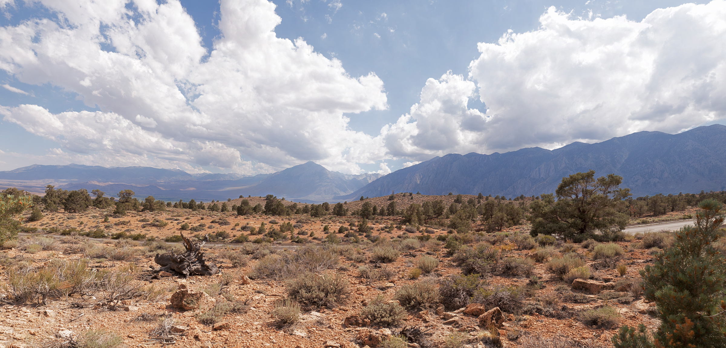 395_Pano_2_670mp.jpg