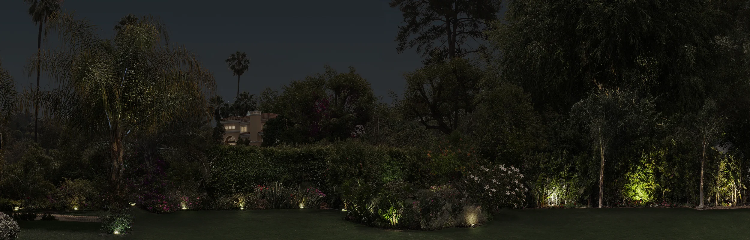 WC-10052A DN Night Flat.jpg