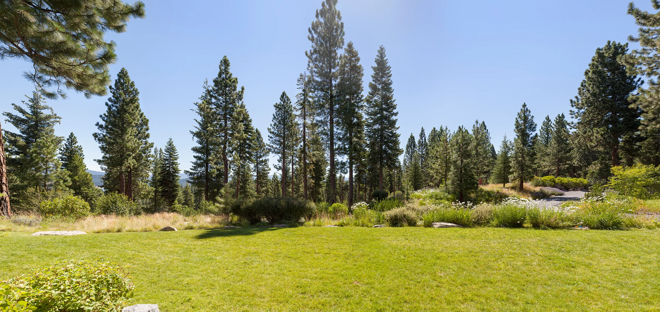 Lake_Tahoe_Backyard_4a.jpg