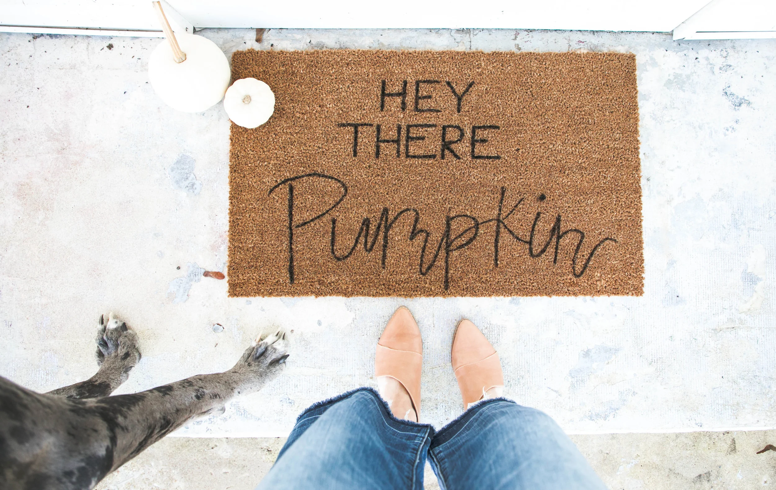 Hey There Pumpkin