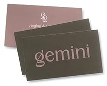gemini1.jpg