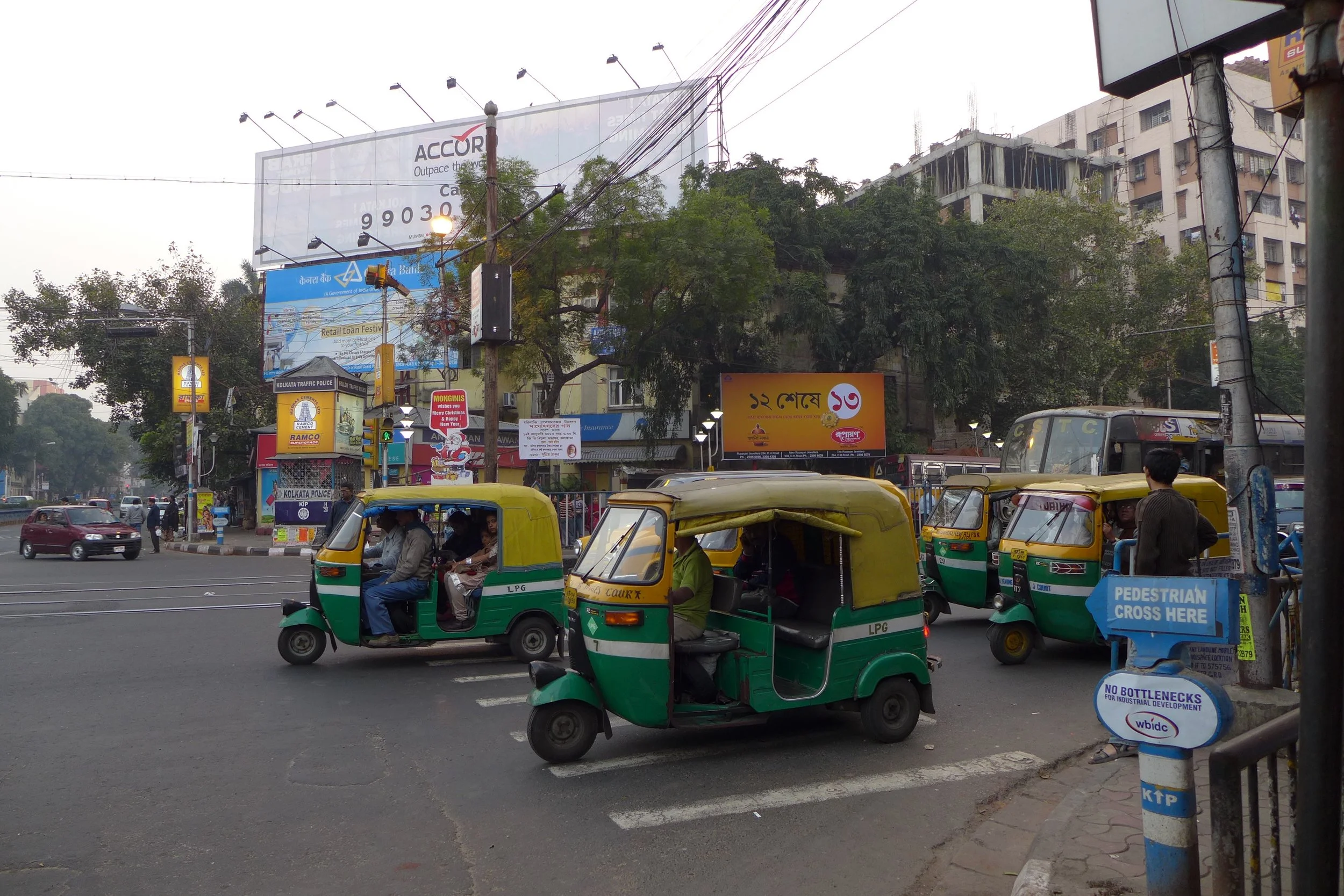 P1000238.jpg