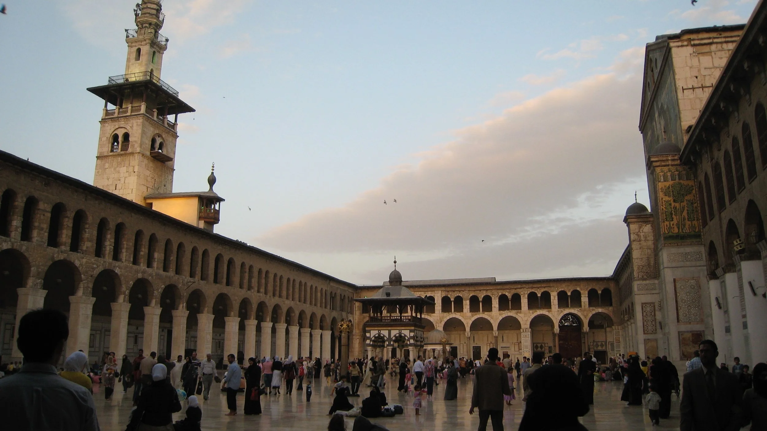 IMG_2475.jpg