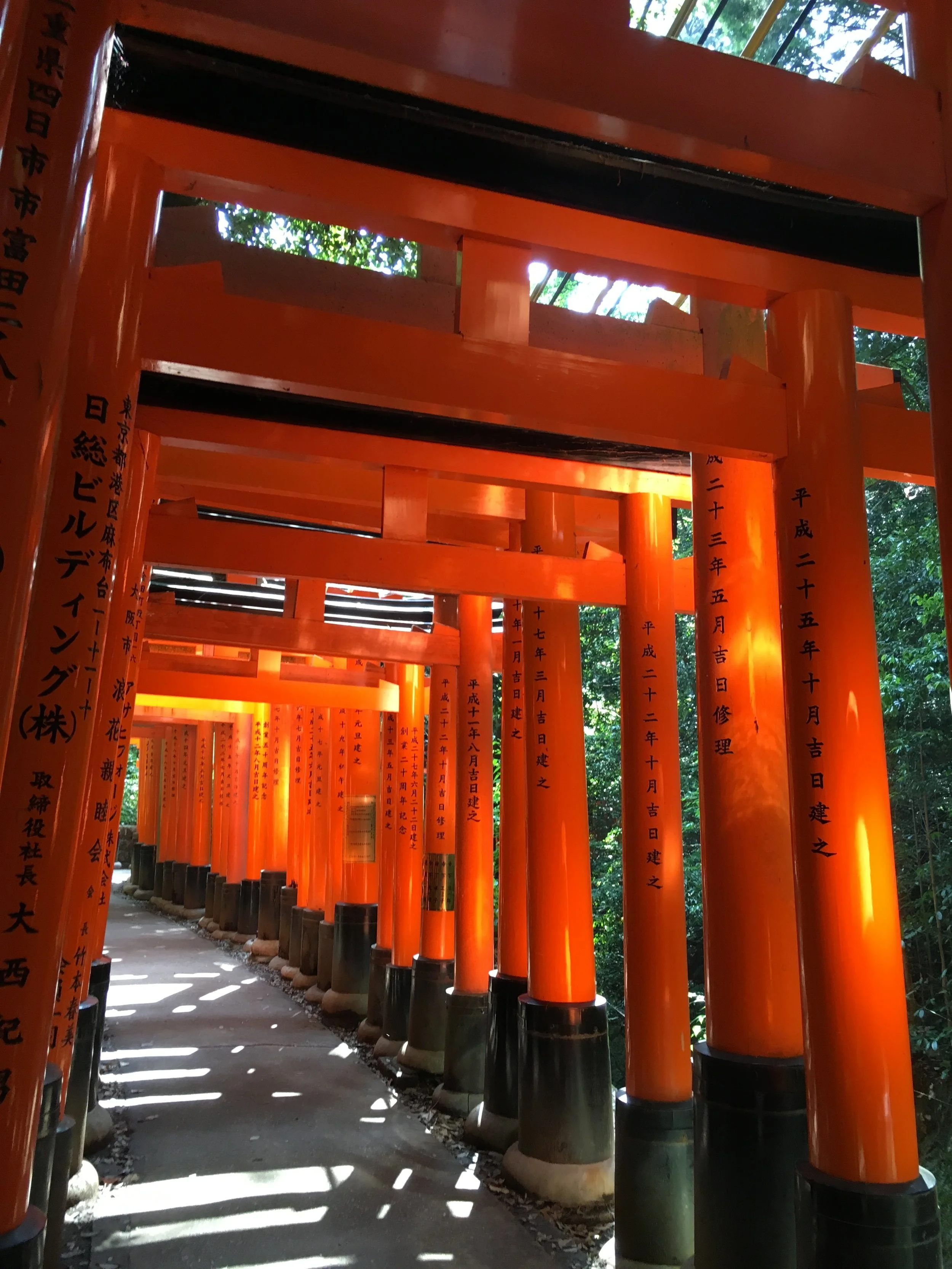  fushimi inari 