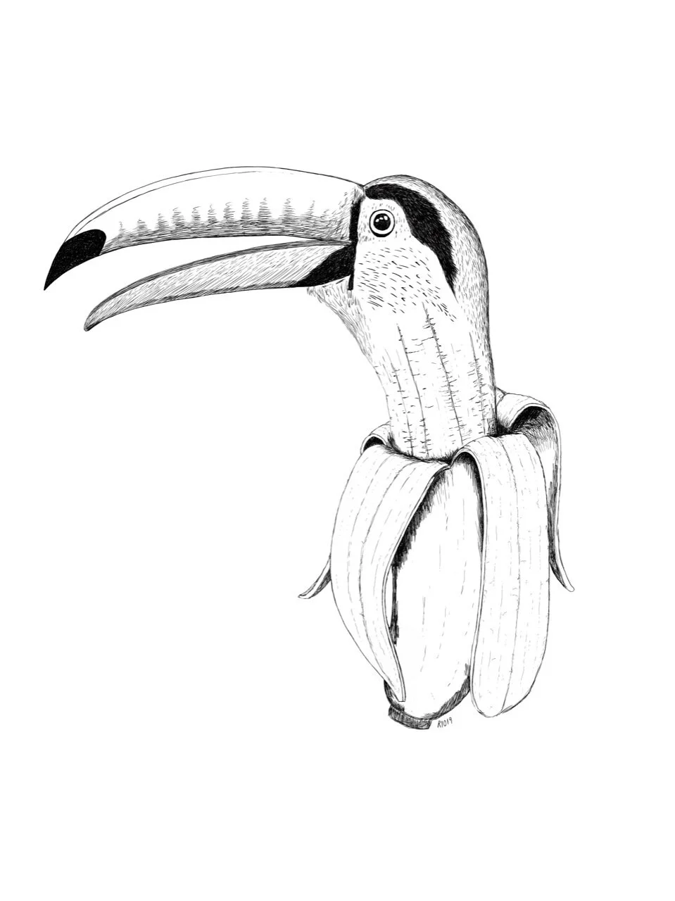 "Toucan Banana"  Print