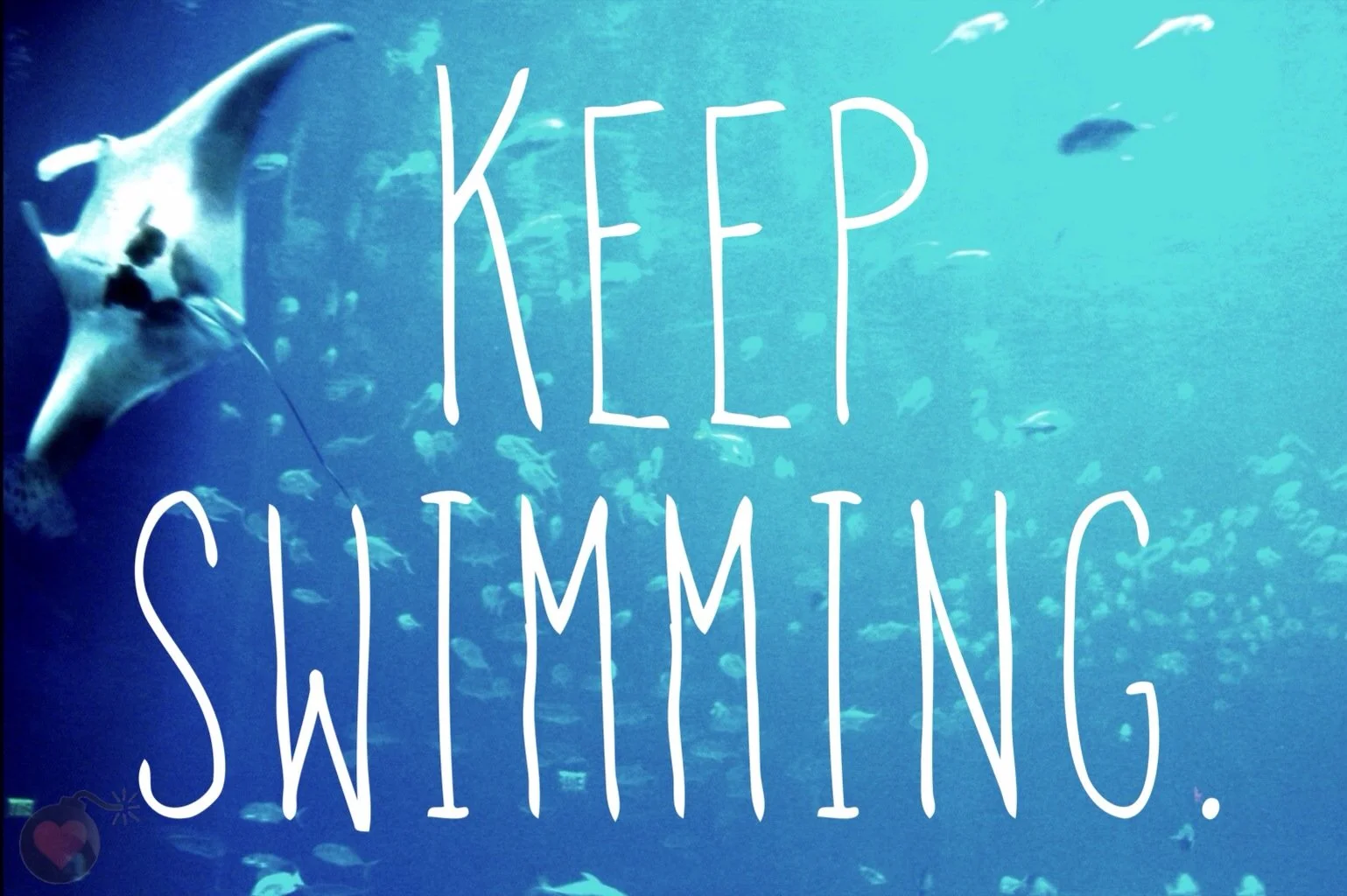 2013-08-04 13.51.55.jpg