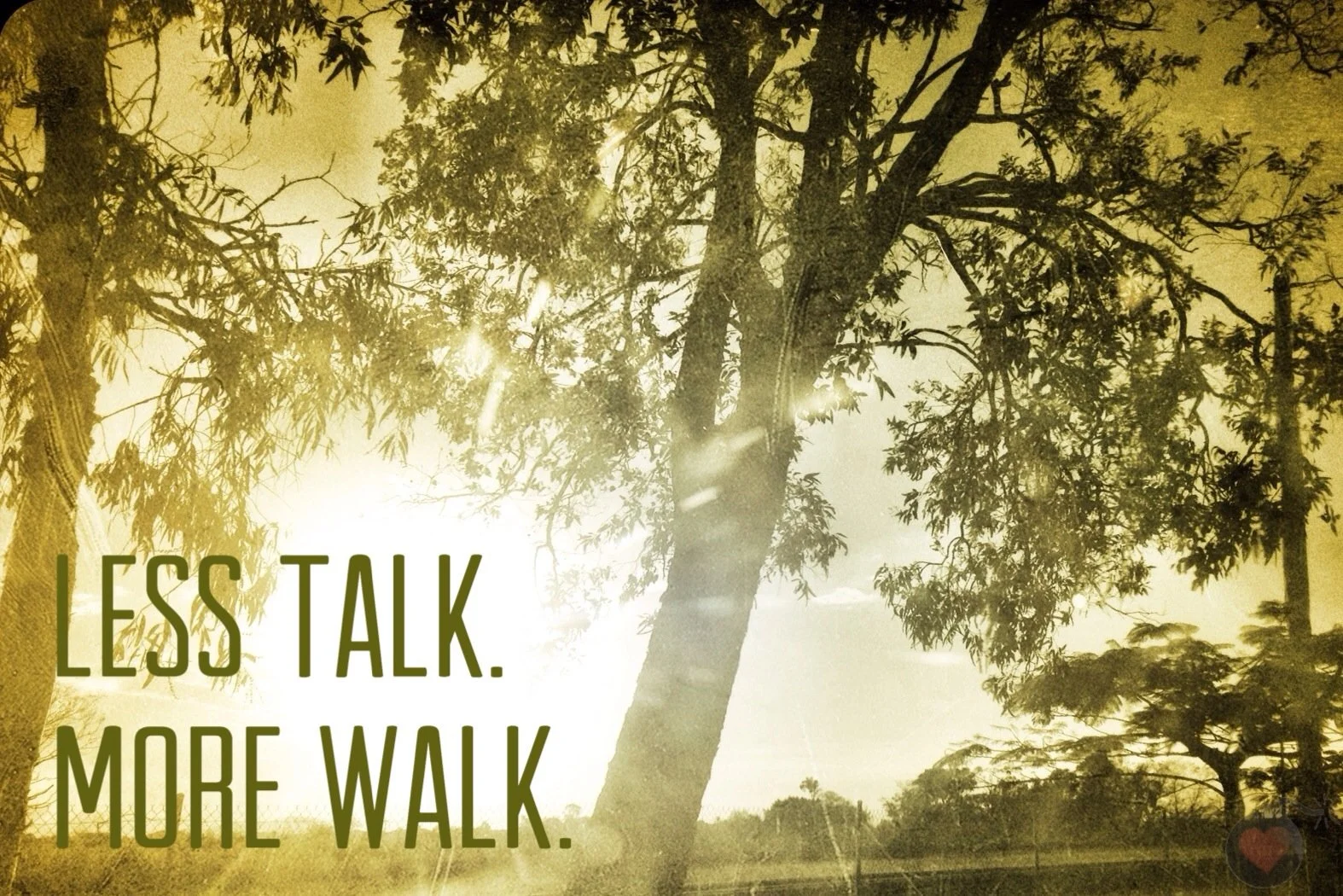 2013-08-04 14.48.21.jpg