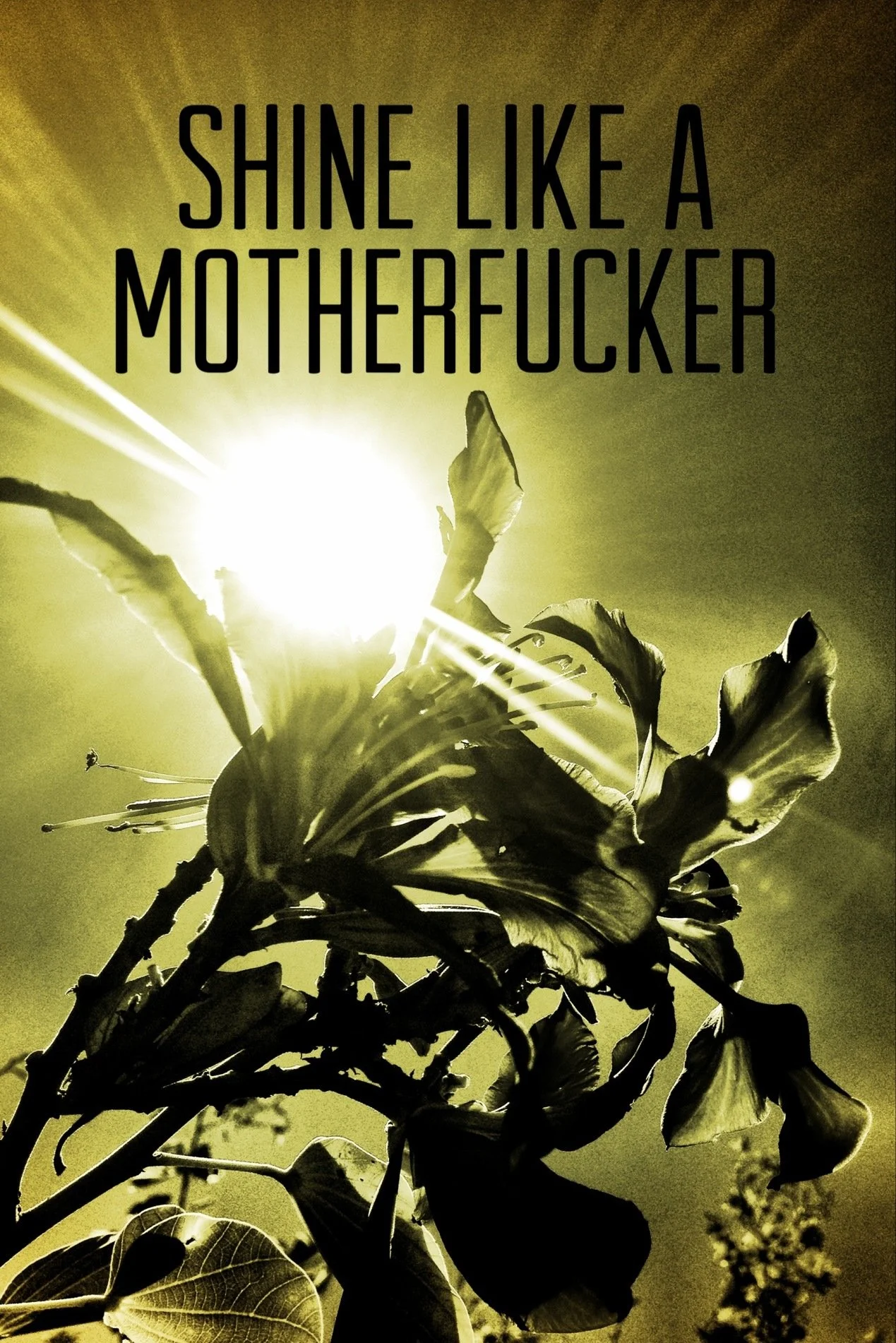 Shine like a mofo 4 x 6.jpg