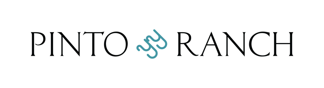 PintoRanch_Secondary_Horizontal_Logo-FULLCOLOR-01_1.png.webp