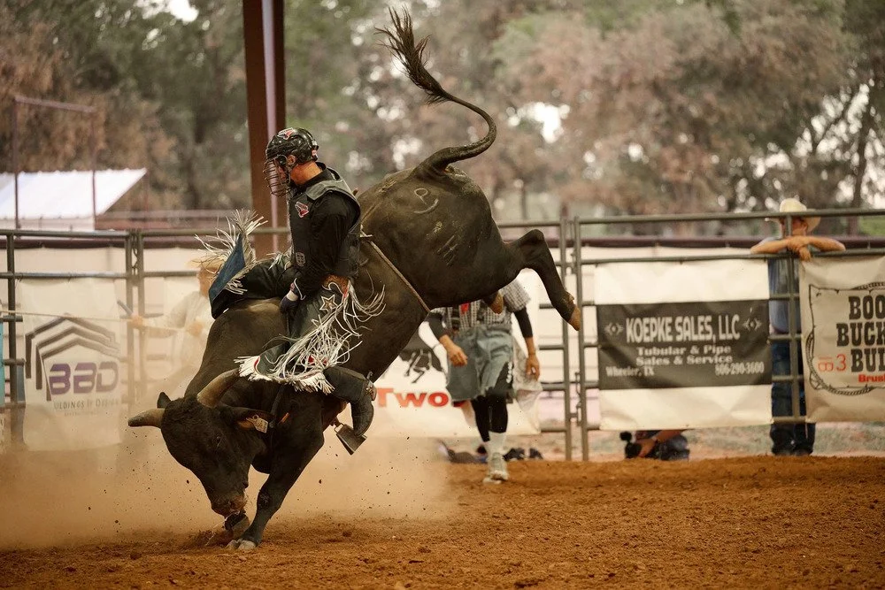  Bull rider competing at a rodeo as a bull bucks in the dirt arena 