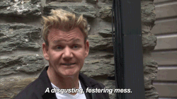 gordon gemini.gif