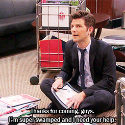 SaneSecretAlaskanhusky.gif