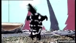 giphy (1).gif
