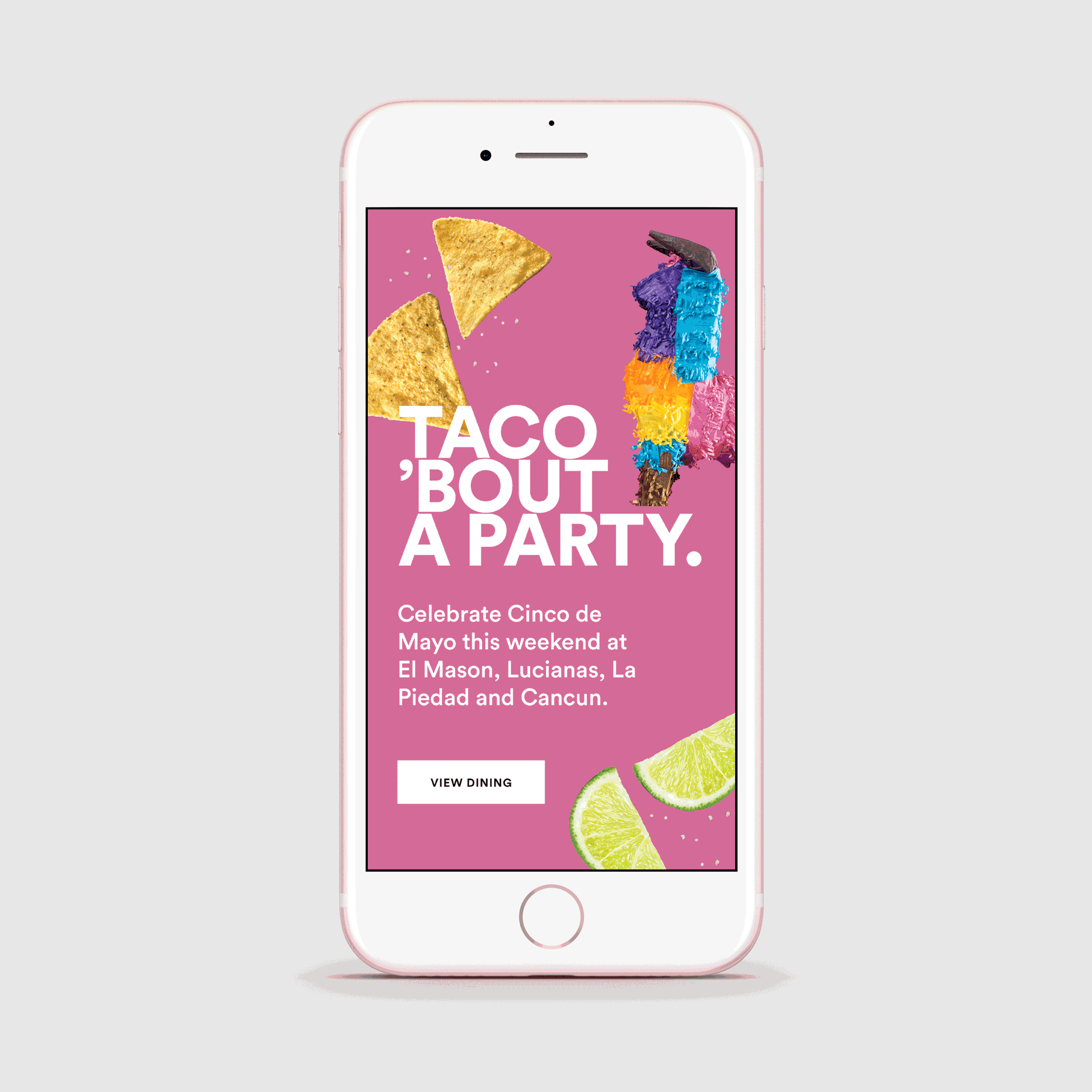 Cinco-De-Mayo_Llama.gif