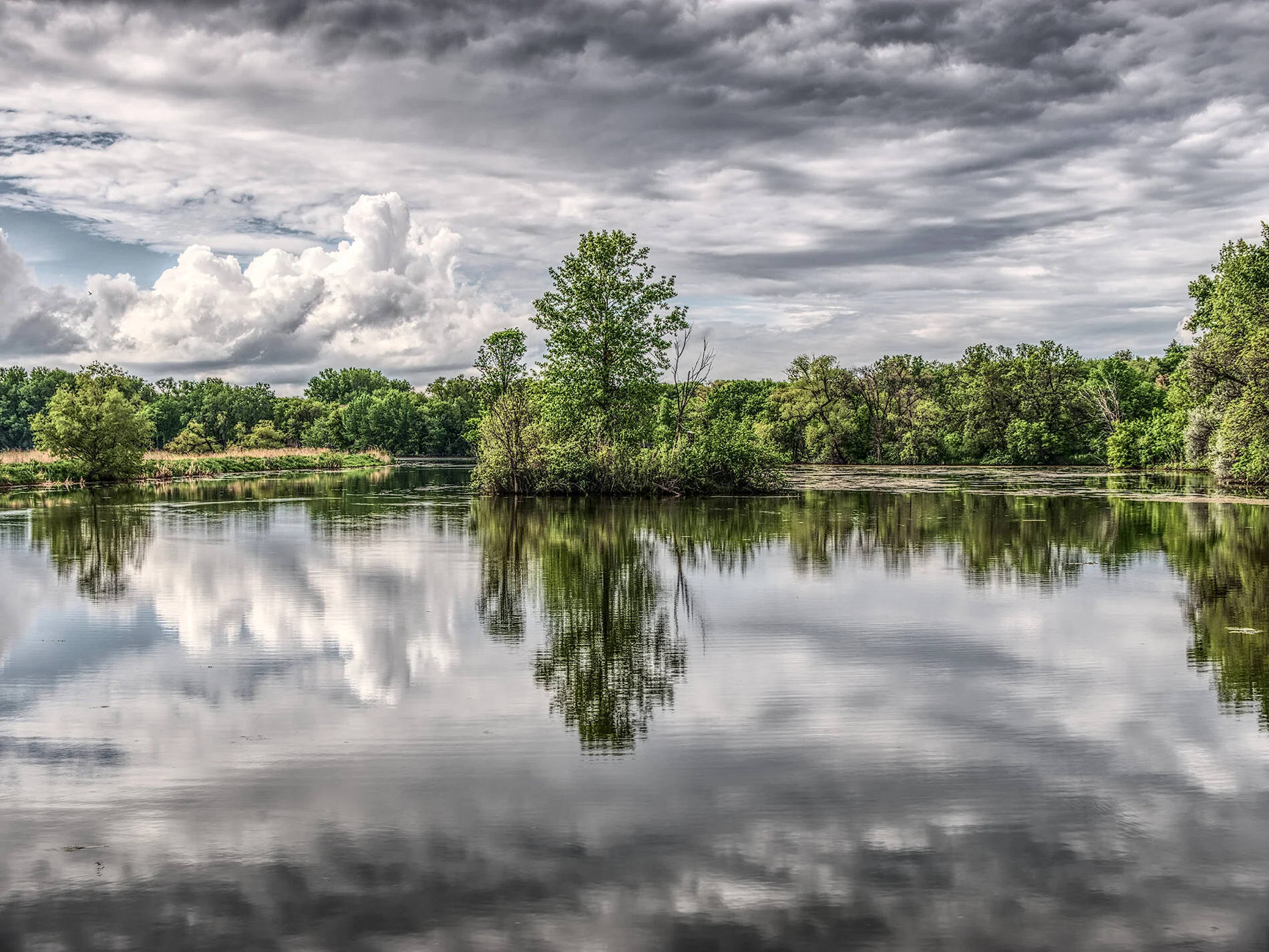Neill Lake #1, May 2020