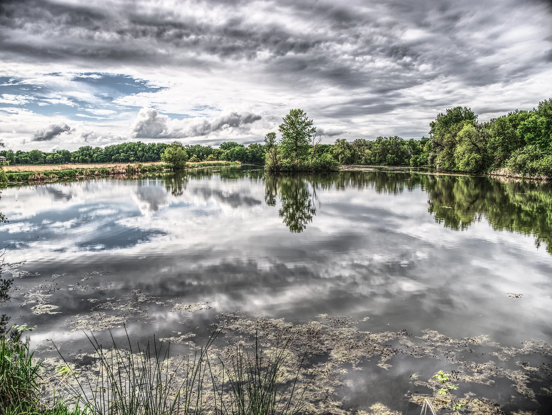 Neill Lake #2, May 2020