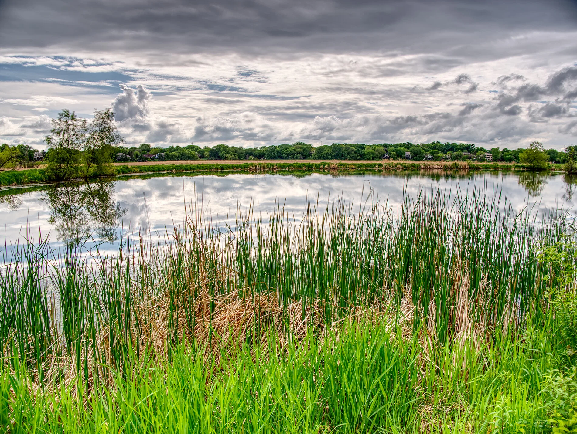 Neill Lake #3, May 2020