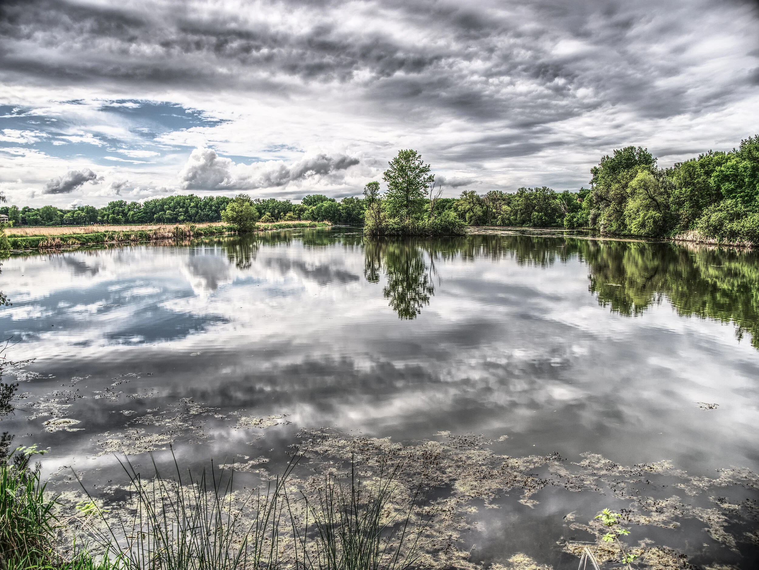 Neill Lake #5, May 2020