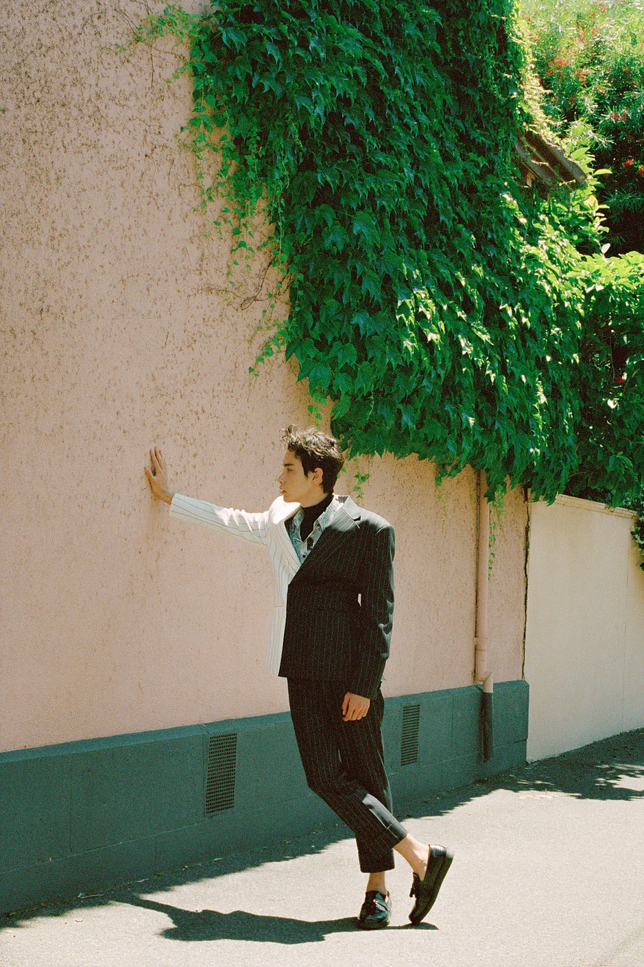Peacock 6.jpg