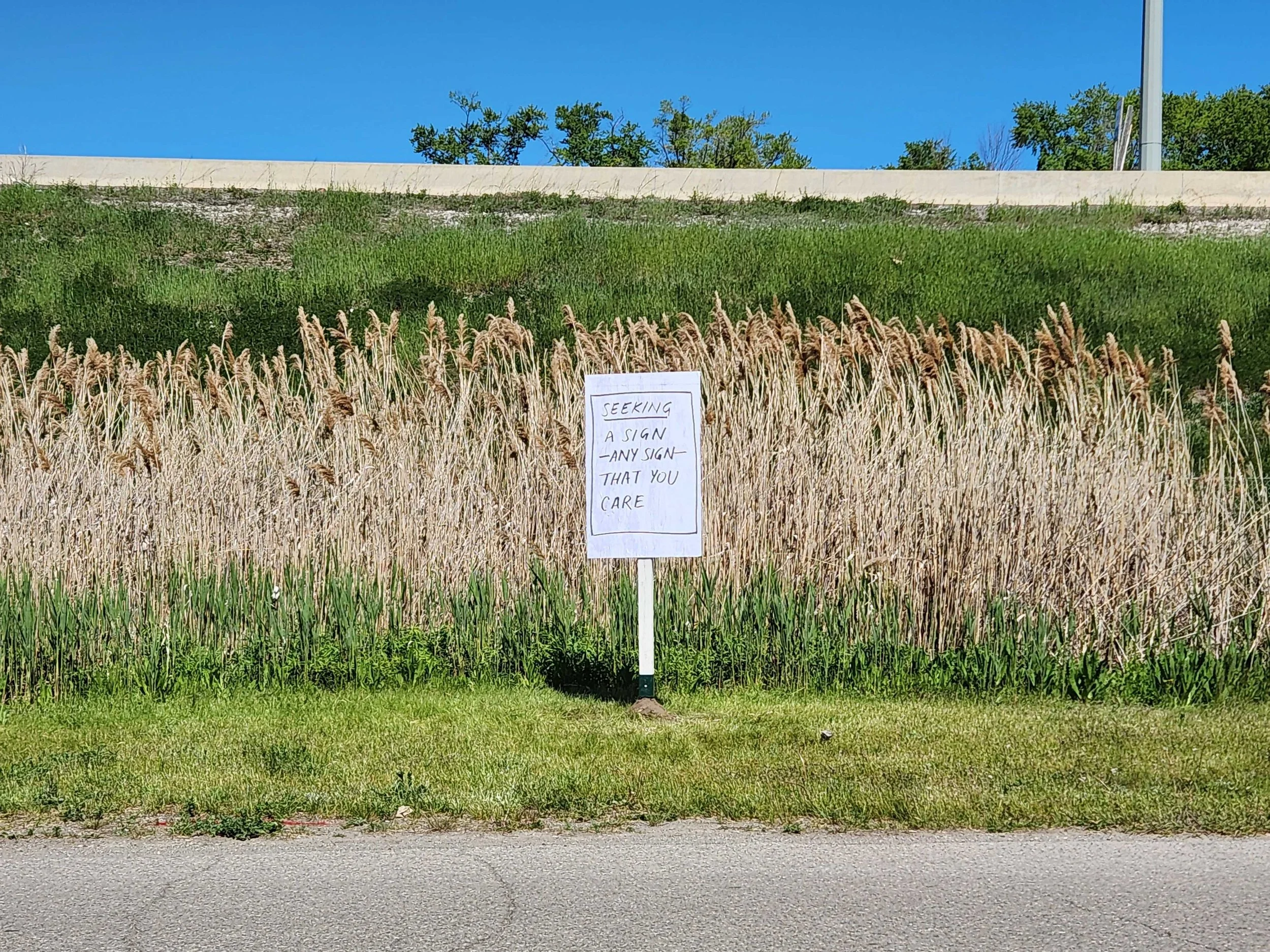 Seeking: a sign--any sign--that you care