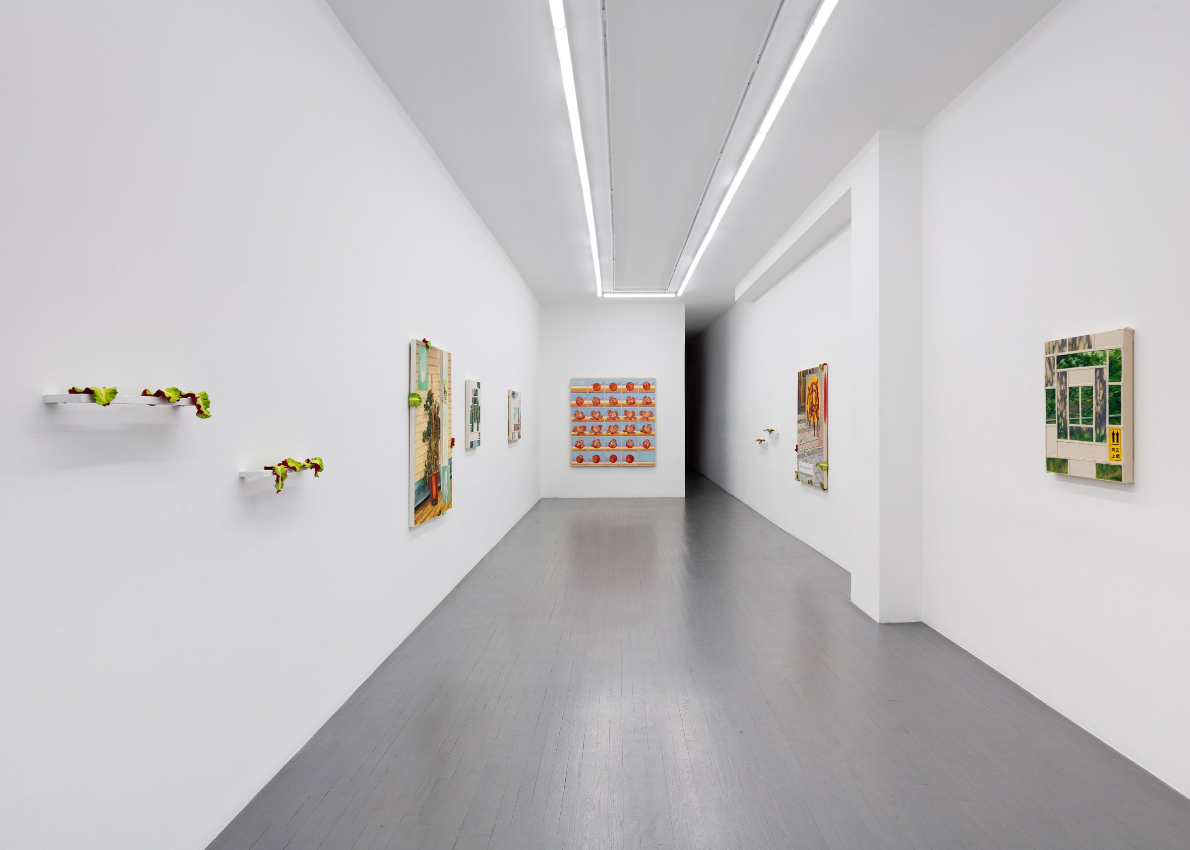  installation view of ‘It Probably Means Lucky’ at Zalucky Contemporary. LF Documentation 