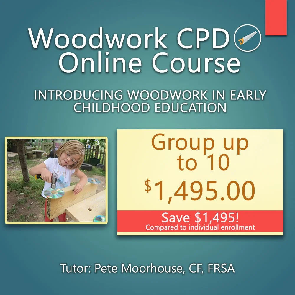 Group woodwork training for schools and ECE – professional development course for up to 10 teachers