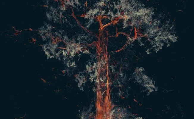 treehugger_wawonacropped.jpg